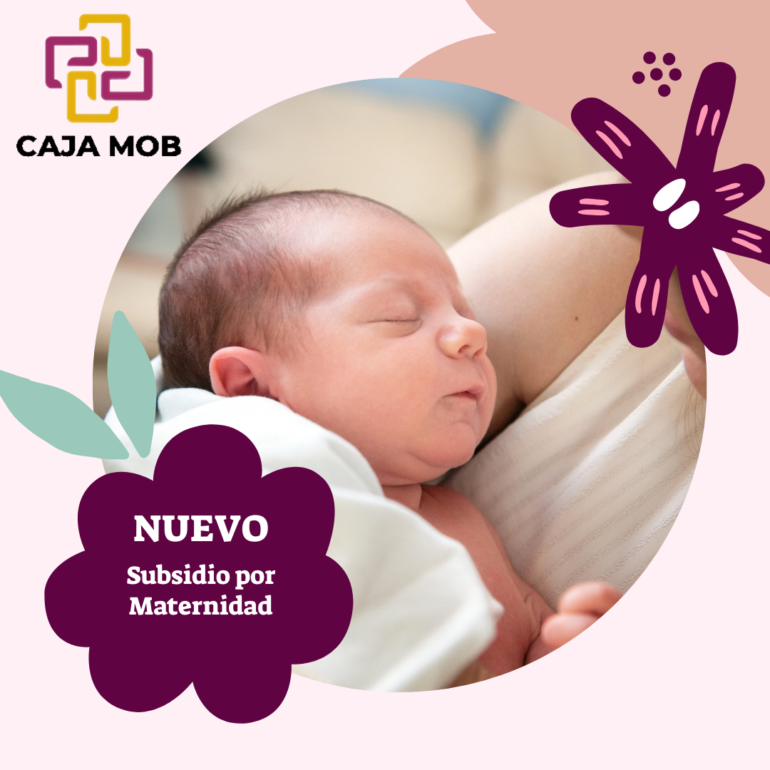 Subsidio_Maternidad